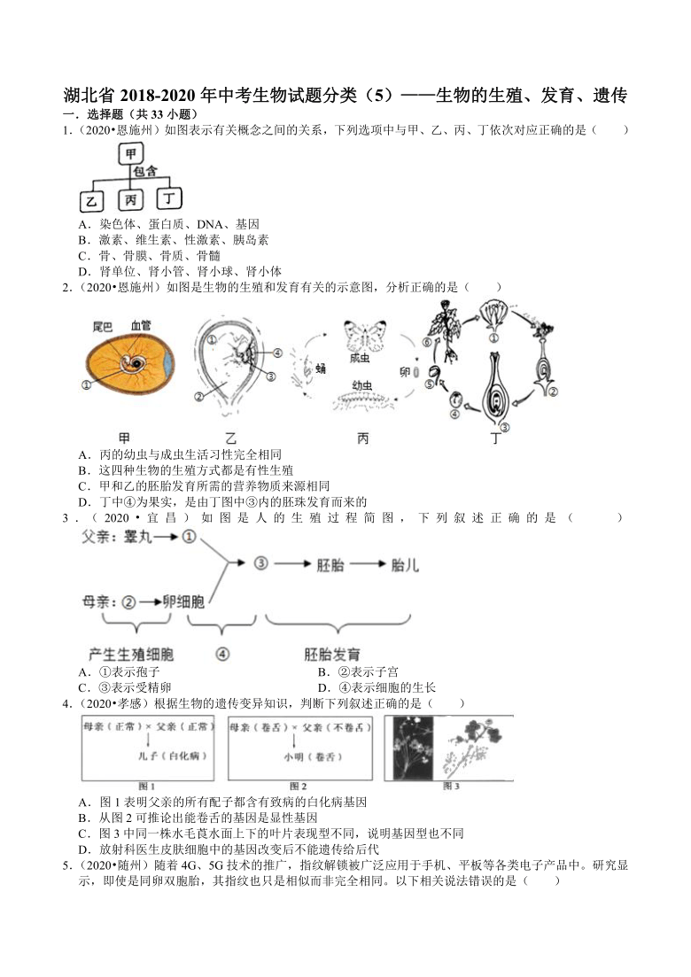 湖北省2018-2020年近三年中考生物试题分类（5）——生物的生殖、发育、遗传(word版含解析)