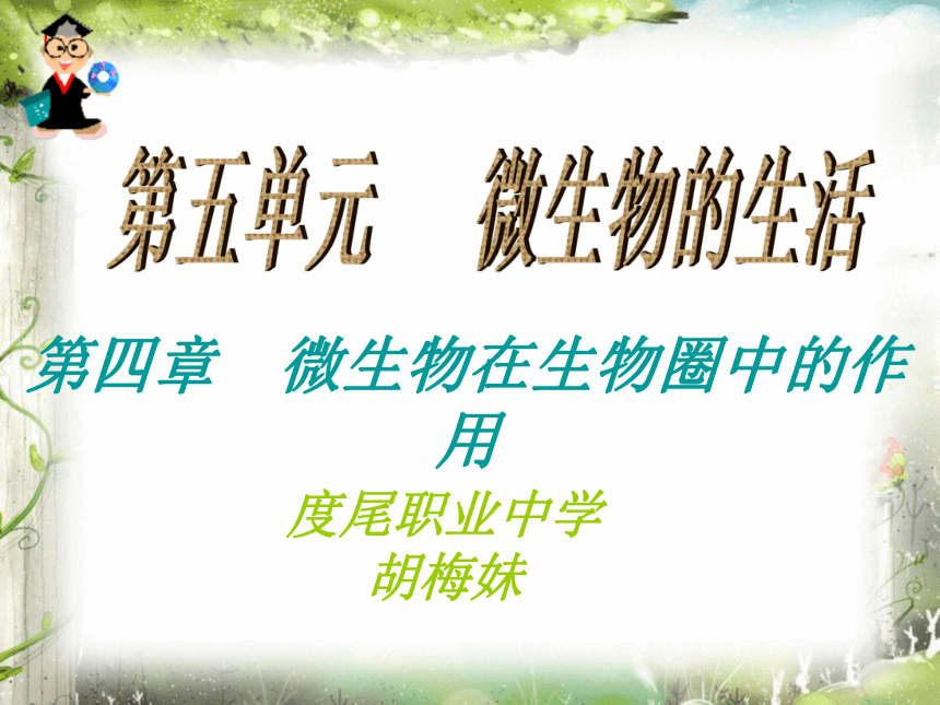 第四章 微生物在生物圈中的作用（29张PPT)