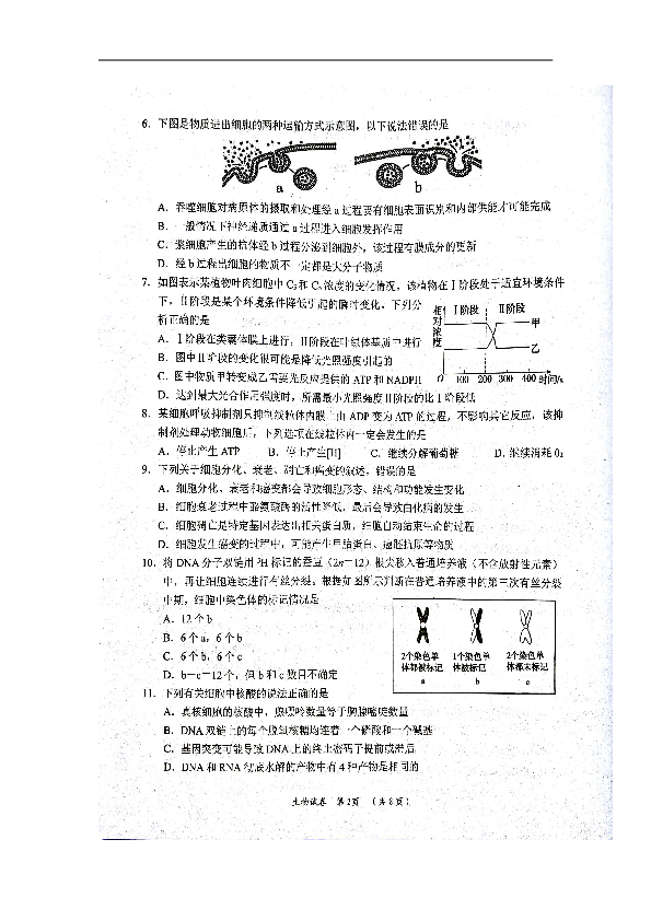 湖南省岳阳市2019届高三教学质量检测一（一模）生物试题扫描版