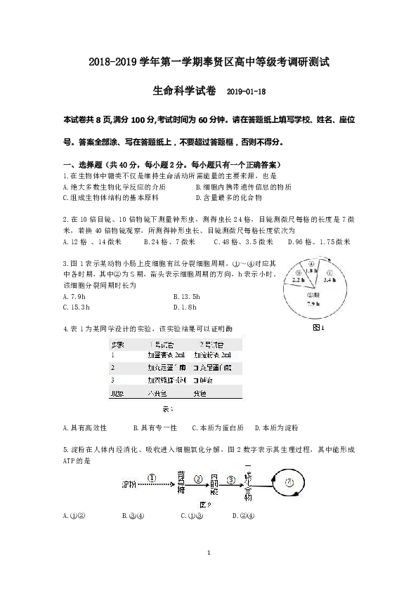 上海市奉贤区2018-2019学年第一学期高中等级考调研测试 生命科学（无答案）