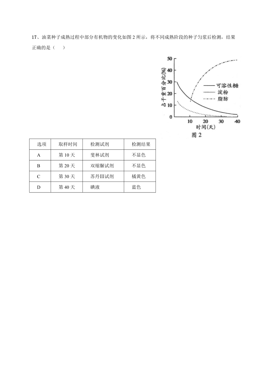 广东省深圳市翠园中学2017-2018学年高一上学期期中考试生物试题