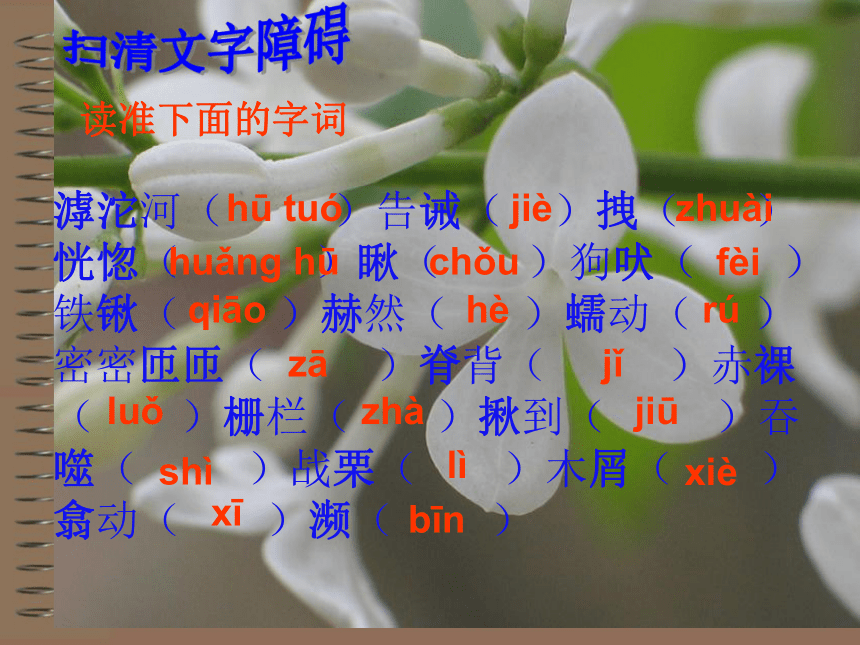 语文七年级上华东师大版2.7《滹沱河和我》课件（21张）