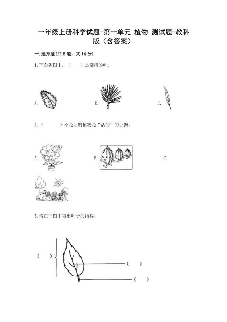 课件预览