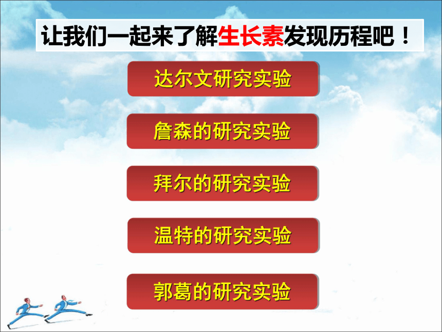 苏教版高中生物必修三2.4植物生命活动的调节 (共61张PPT)