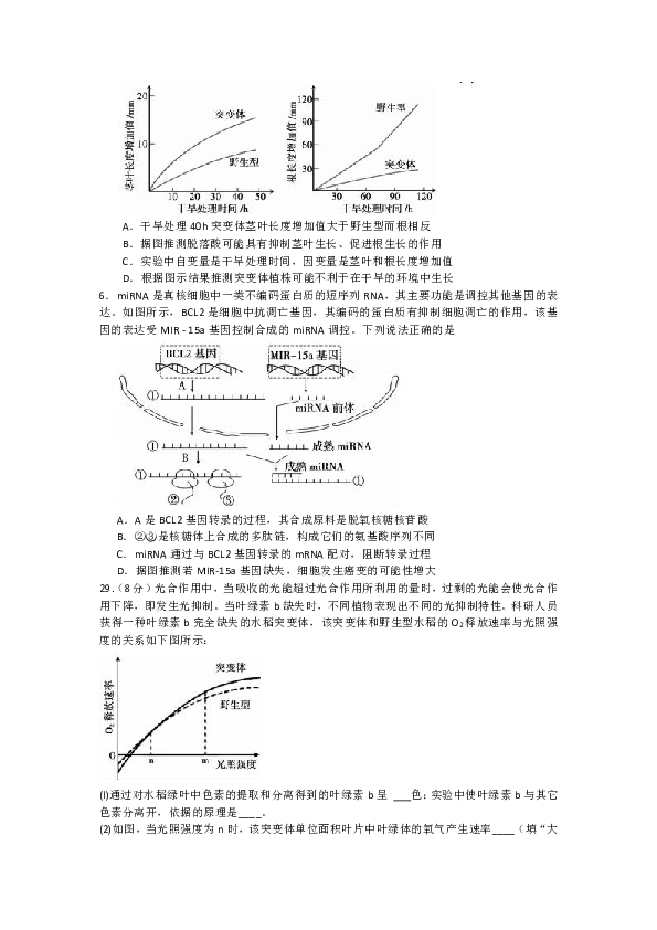 安徽省蚌埠市2020届高三上学期第二次教学质量检查考试生物试题