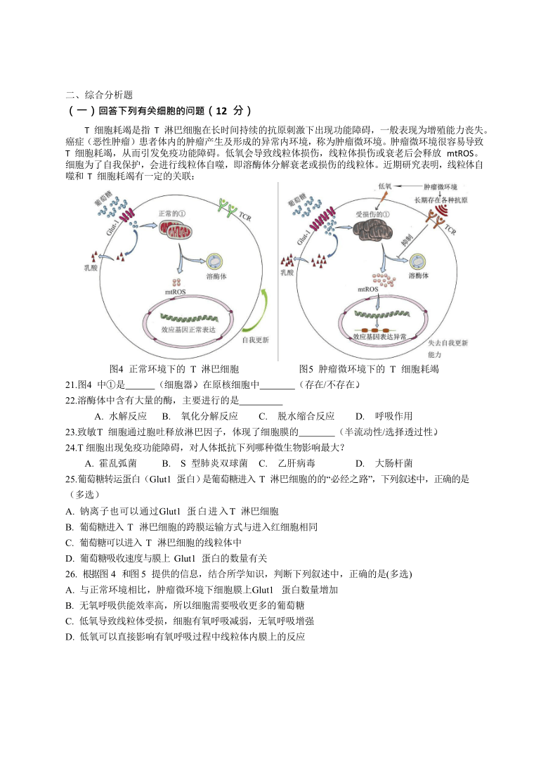 上海市徐汇区2021届高三下学期4月学习能力诊断调研考试（二模）生物试题    含答案