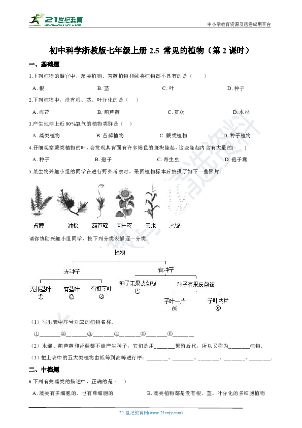 2.5 常见的植物 第2课时 同步练习（解析版）