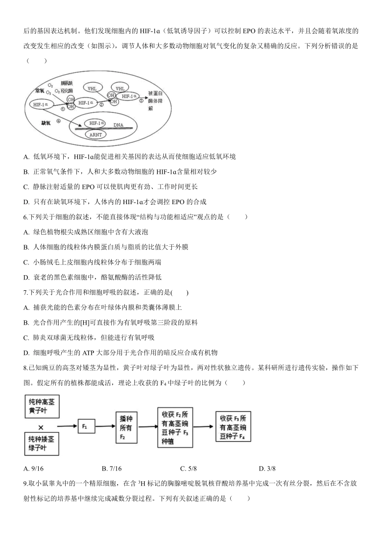 山东省济南市平阴一中2021届高三上学期1月模拟生物试题  含答案