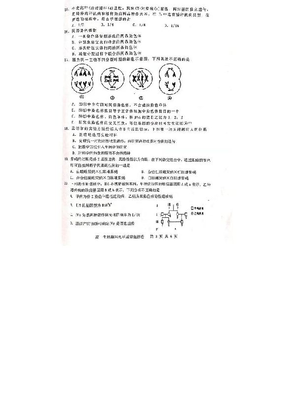 广东省化州市2018-2019学年高一下学期期末考试生物试题 扫描版含答案