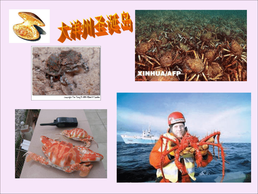虾和蟹