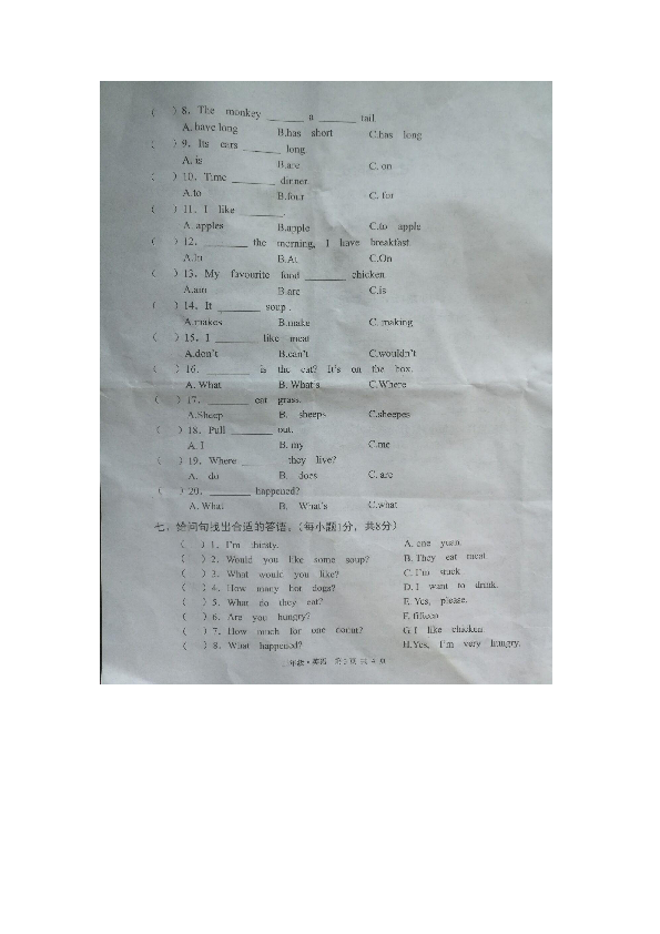 甘肃省白银市平川区2018-2019学年度冀教版小学英语三年级下册期末试卷图片版（含笔试答案 无听力材料）