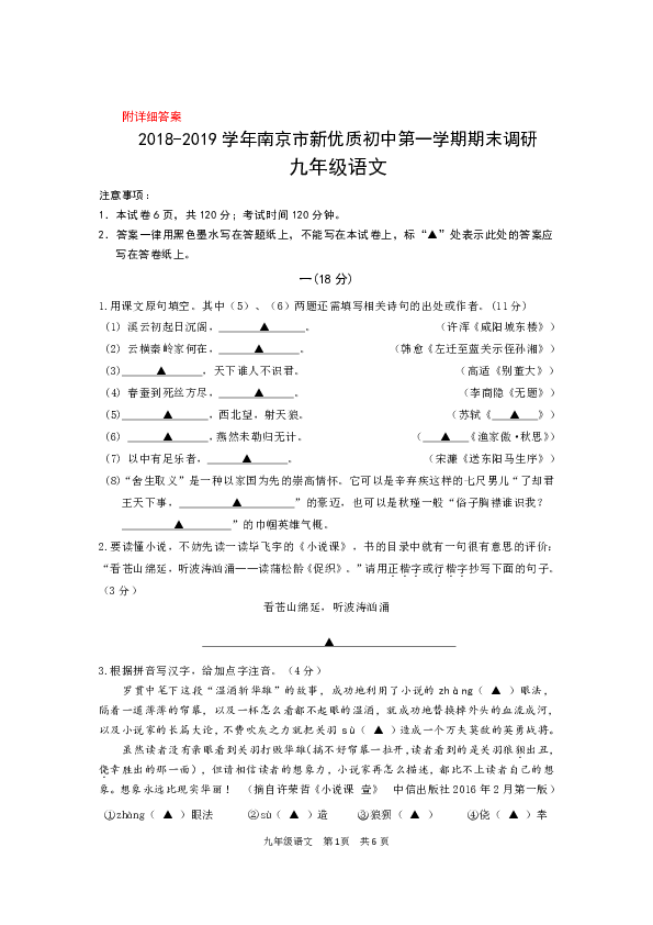 江苏省南京市2018—2019学年初中九年级上学期期末语文质量检测试卷（附详细答案）