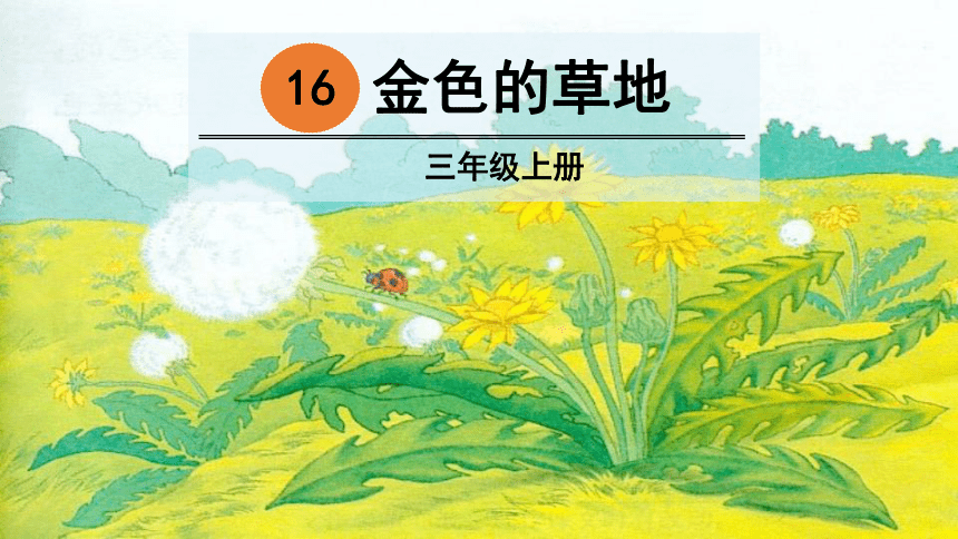 部编版小学语文三年级上册  16 金色的草地  课件（40张PPT）