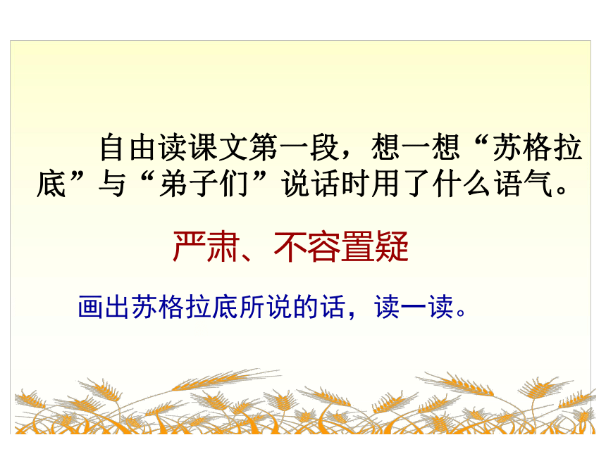 16《最大的麦穗》ppt课件