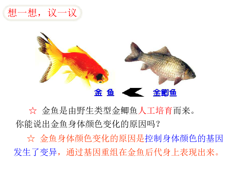 人教版八年级下册生物第七单元第二章第五节生物的变异人教版(共29张PPT)