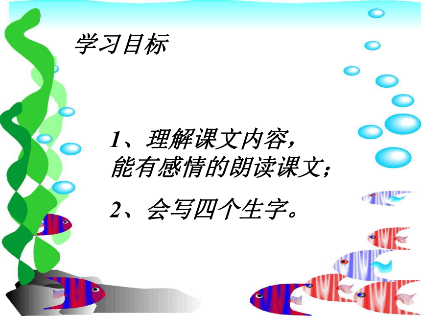 （鲁教版）二年级语文上册课件 浅水洼里的小鱼