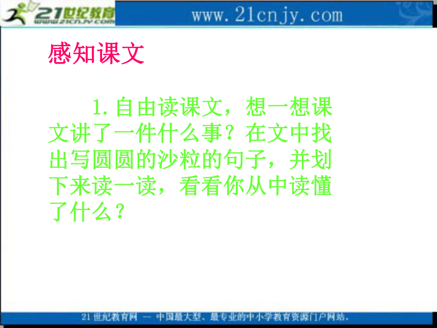 三年级语文上册课件 圆圆的沙粒 3（北师大版）