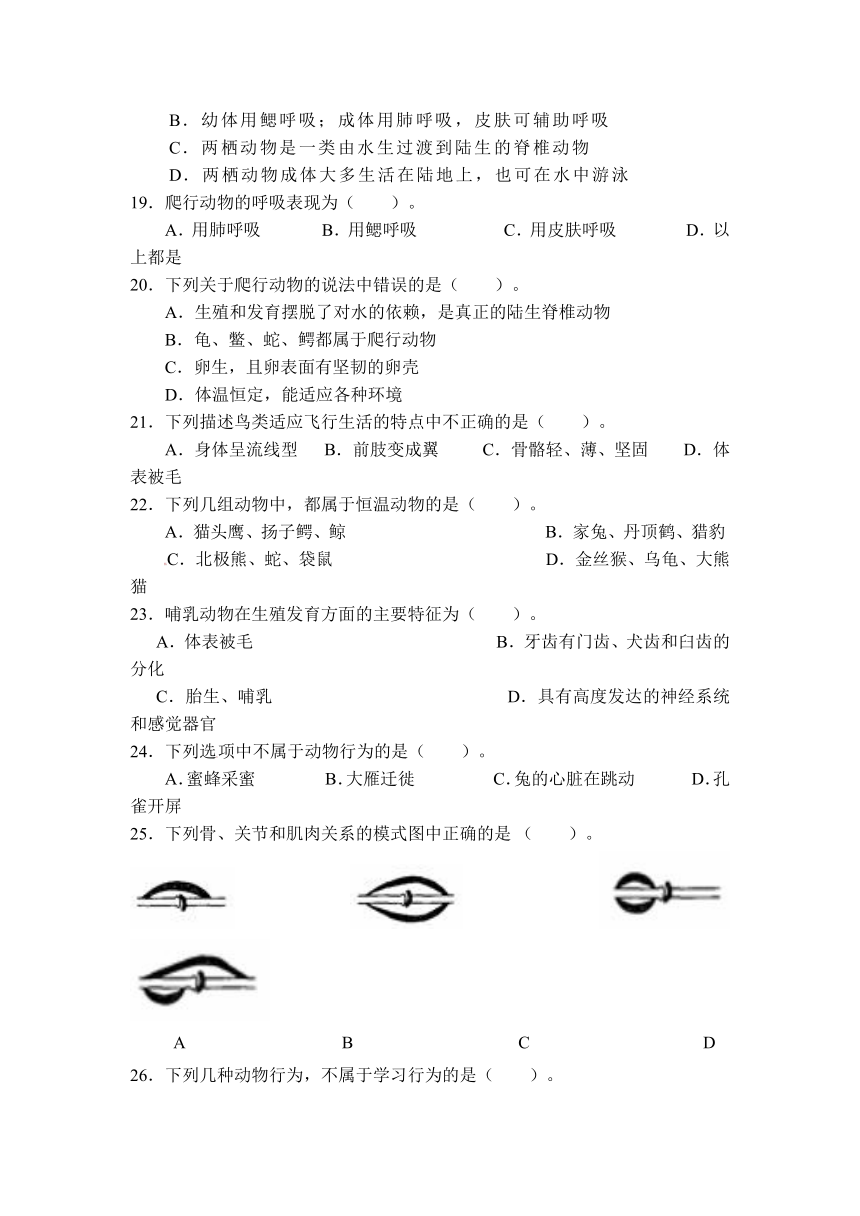 广西桂林市第十二中学2013-2014学年八年级上学期期中考试生物试题（无答案）