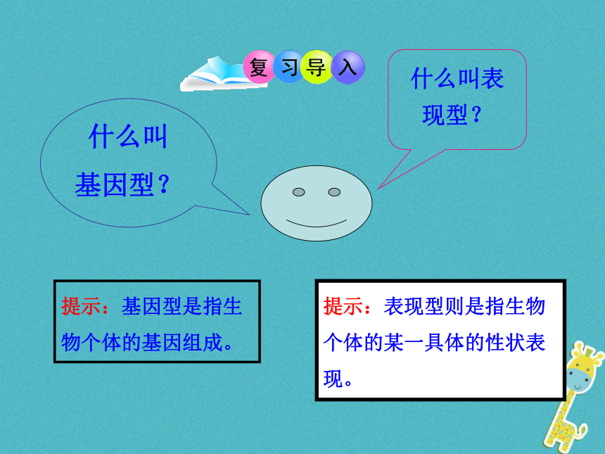 遗传与环境课件（21张ppt）