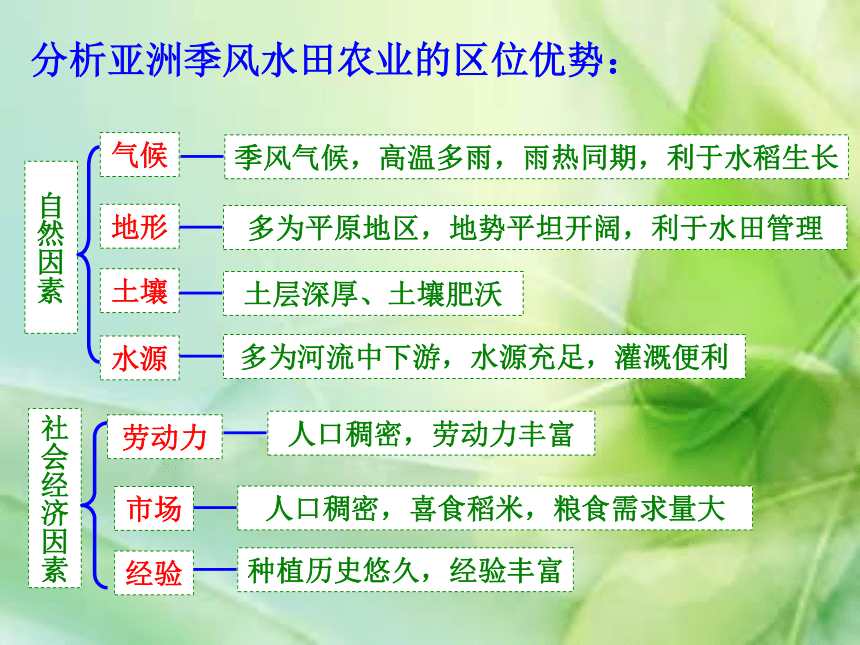 3.2以种植业为主的农业地域类型  课件 (2)