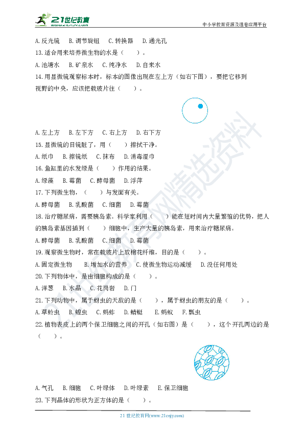 教科版科学六年级下册期末复习——选择题