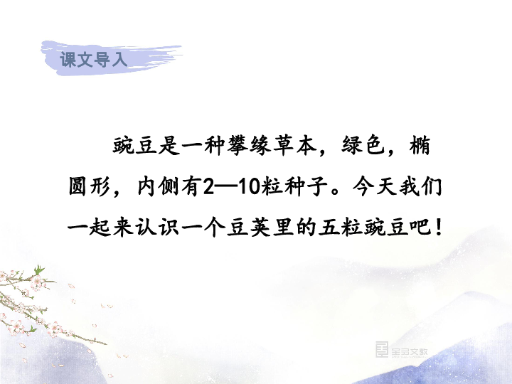 课件预览