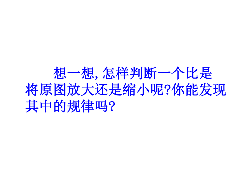 数学六年级上浙教版1.4图形的放大与缩小课件(31张)