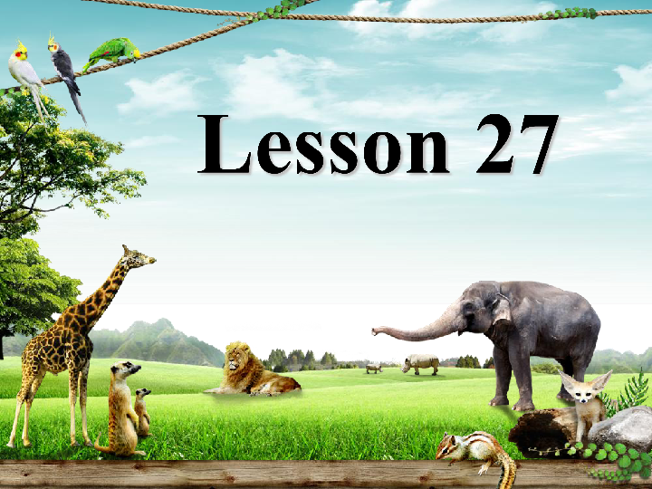 Unit 5 Is this your school bag Lesson 27 课件（38张PPT）