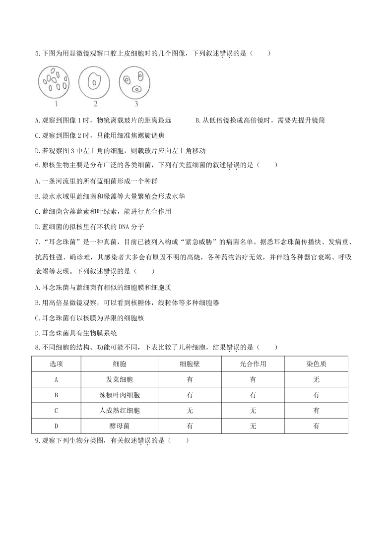 安徽省合肥市多校2020-2021学年高一上学期期中联考生物试题 Word版含解析