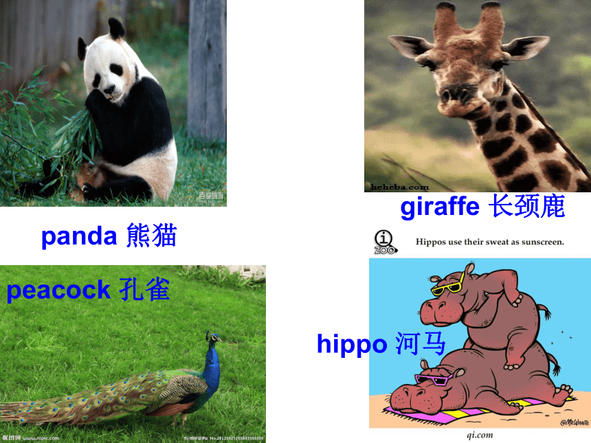 Unit 2 Visit to the zoo PA 课件