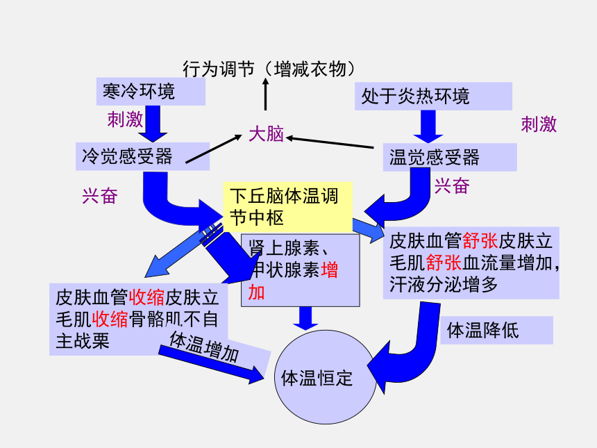 专题2.3+神经调节与体液调节的关系（课件）-2017-2018学年高二生物同步精品课堂（提升版）（必修3）