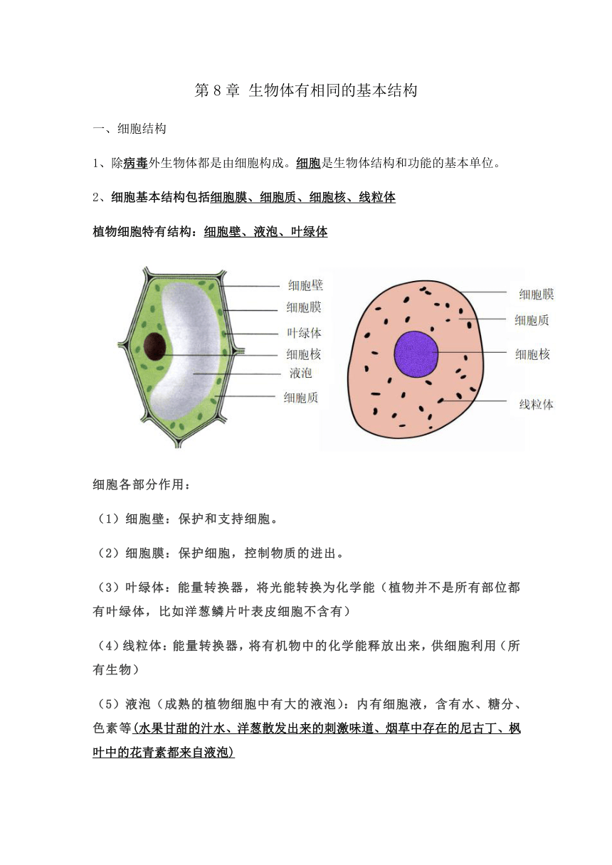 細胞壁,細胞膜,細胞質,擬核10,細菌(4)生殖方式:出芽生殖,孢子生殖