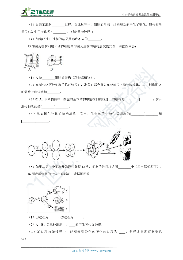 苏科版2021初中生物七下4.8.2细胞的分裂和分化 同步练习（含解析）