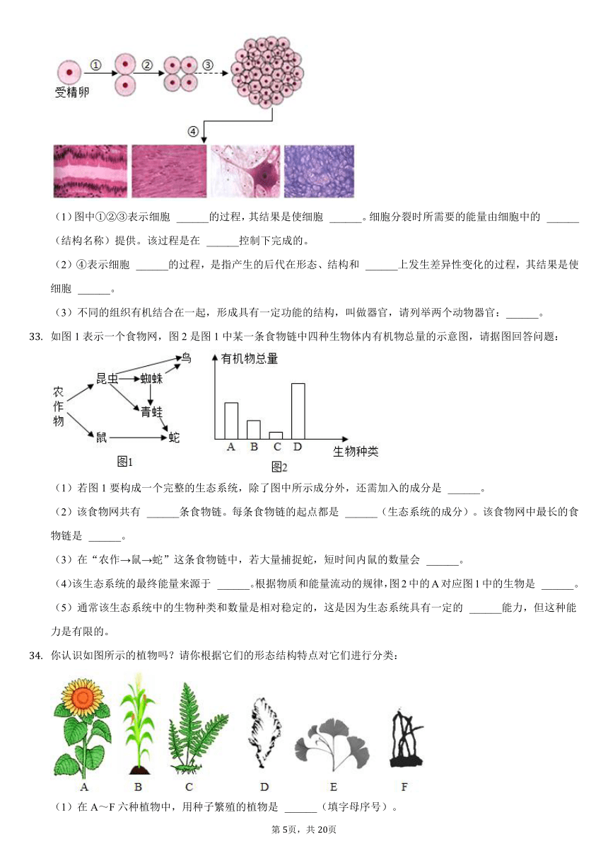 20212022学年福建省厦门市海沧区鳌冠学校七年级上期中生物试卷word版