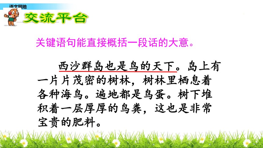课件预览