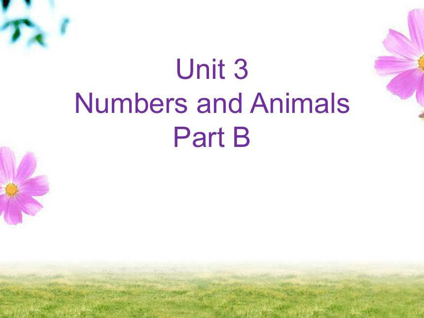 Unit 3 Numbers and animals PB 课件