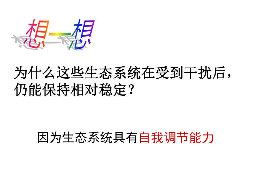 江苏省张家港市崇真中学高中生物必修三：5.5生态系统的稳定性 课件 (共36张PPT)