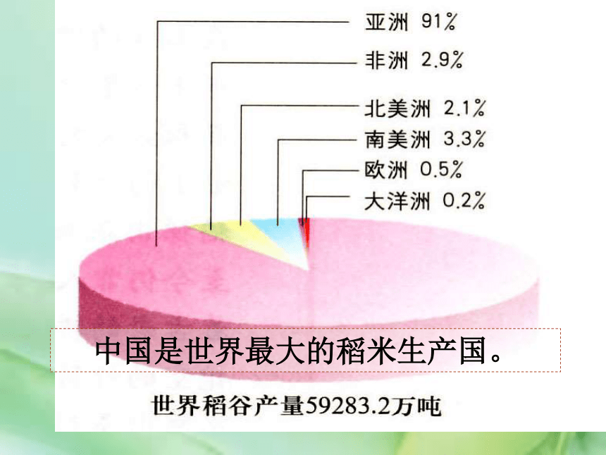 3.2以种植业为主的农业地域类型  课件 (2)