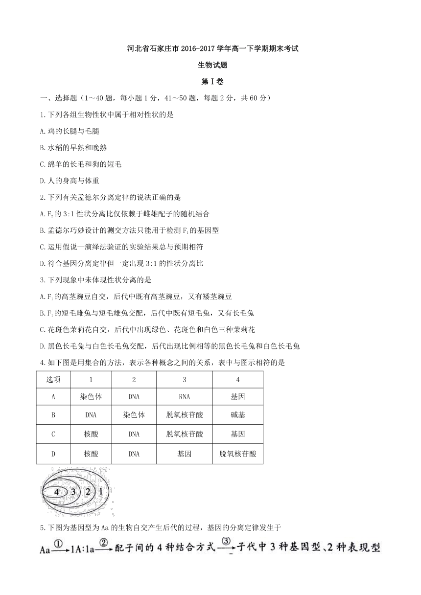 河北省石家庄市2016-2017学年高一下学期期末考试生物试题