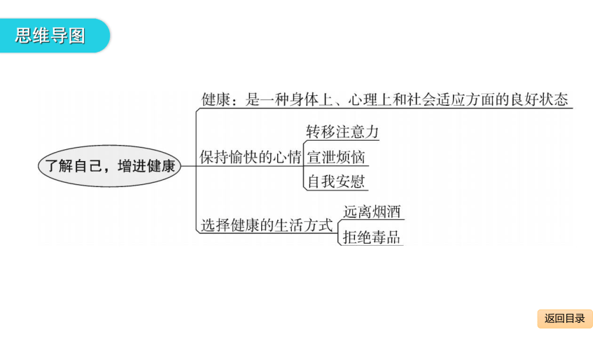 健康地生活章末总结 课件