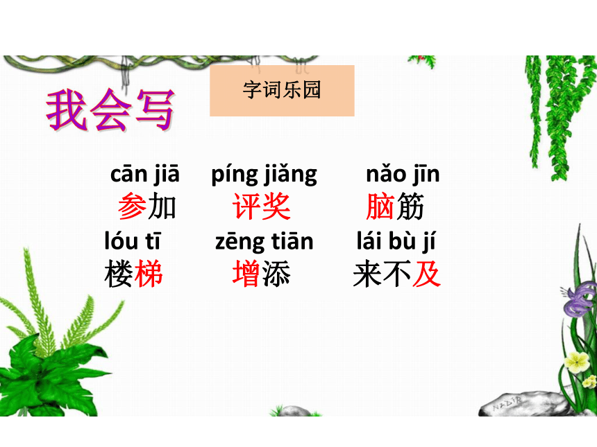 7  苏红的画 课件