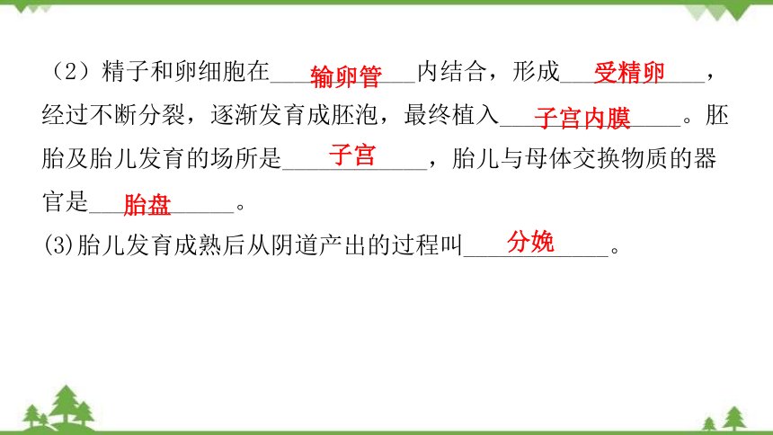 2022年中考生物二輪專題六生物的生殖發育與遺傳習題課件共38張ppt