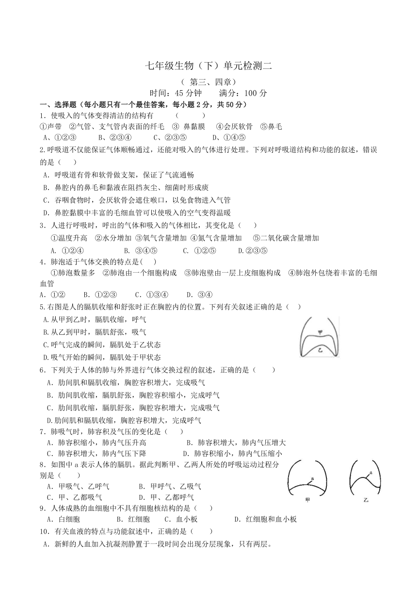 人教版七年级生物下册单元检测二（3,4章）解析版