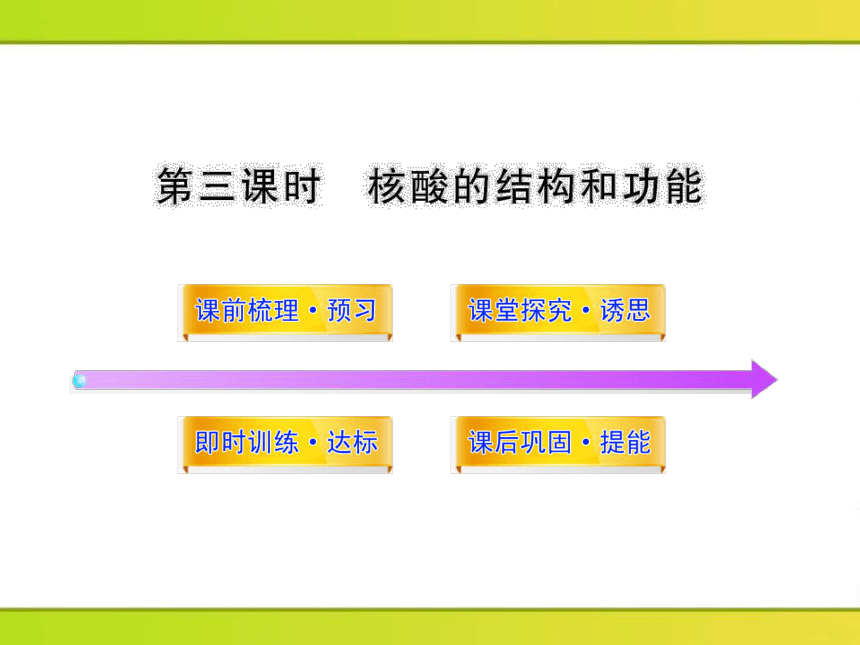 高中生物课时讲练通配套课件：2.2.3《核酸的结构和功能》（苏教版必修1）