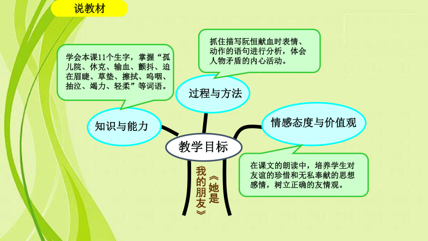 17.《她是我的朋友》说课课件