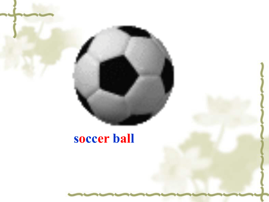 Unit 5 Do you have a soccer ball? Section A 1a-2c课件