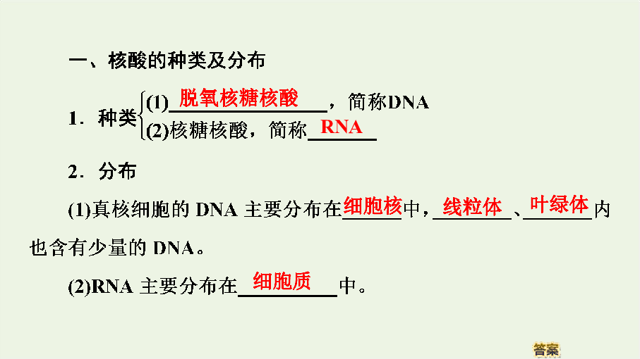2019_2020年新教材高中生物第2章第5节核酸是遗传信息的携带者课件新人教版必修1