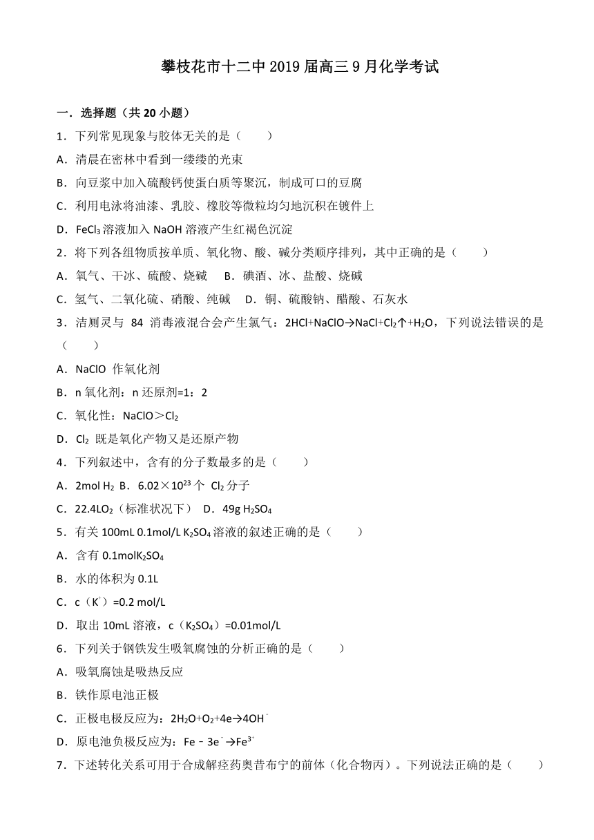 四川省攀枝花市第十二中学2019届高三上学期第一次月考化学试题（解析版）