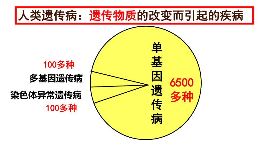 20202021學年高一下學期人教版2019必修二第5章第3節人類遺傳病課件52