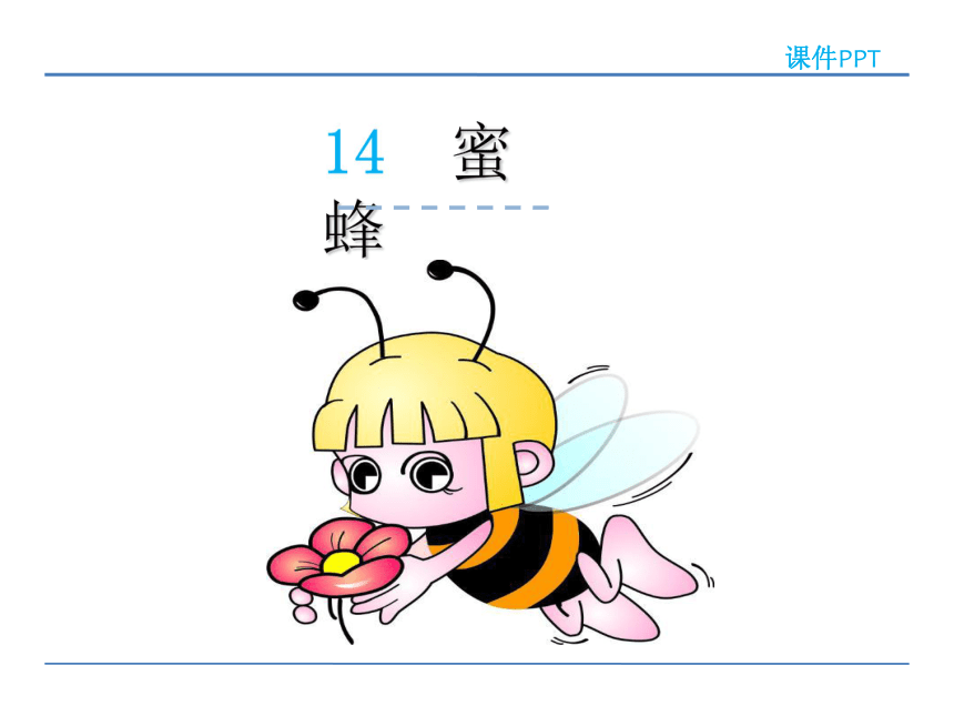 14 蜜蜂 课件